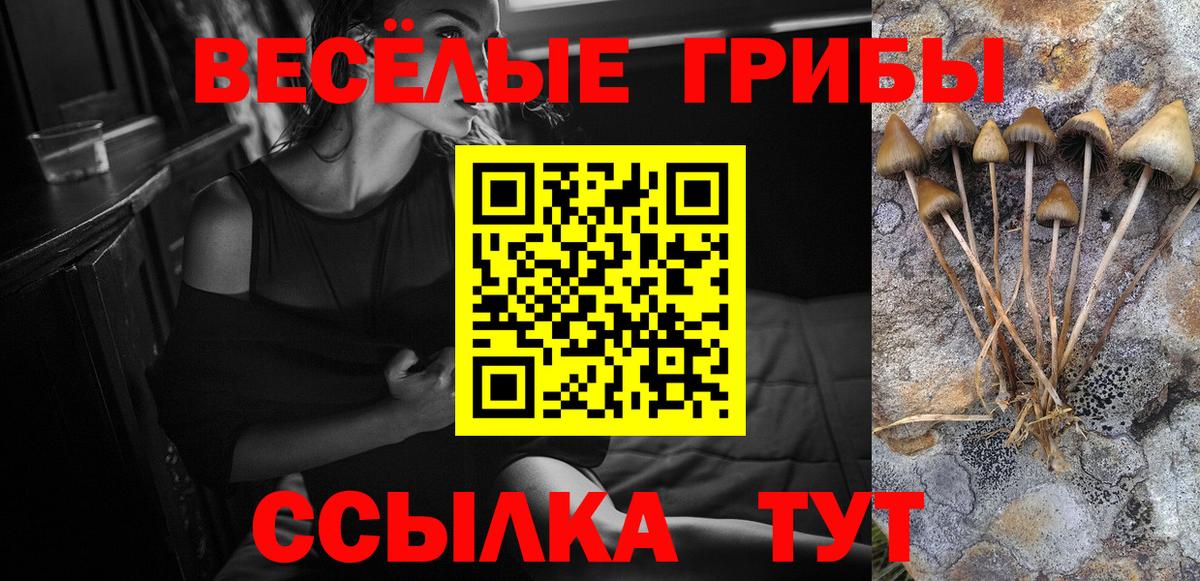 Кингисепп  Псилоцибиновые грибы мухоморы  Вход с VPN  Псилоцибиновые грибы мухоморы 